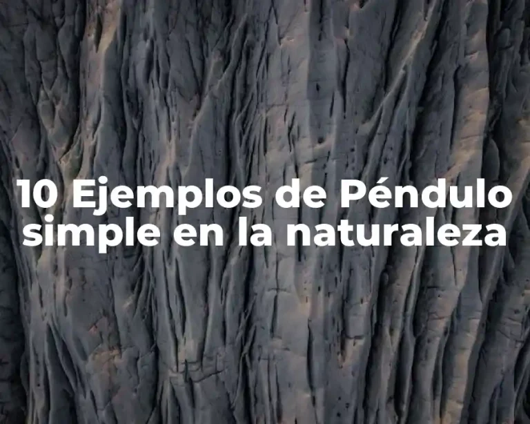 10 Ejemplos de Péndulo simple en la naturaleza