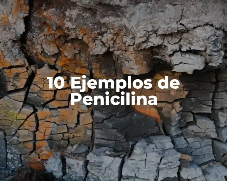 10 Ejemplos de Penicilina