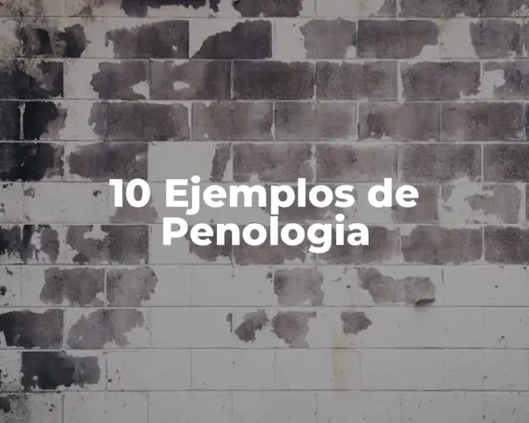 10 Ejemplos de Penologia