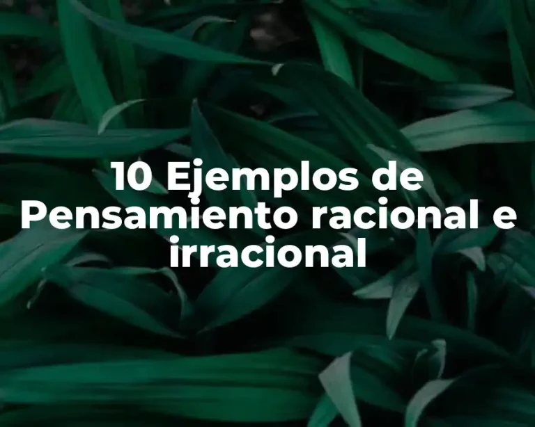 10 Ejemplos de Pensamiento racional e irracional