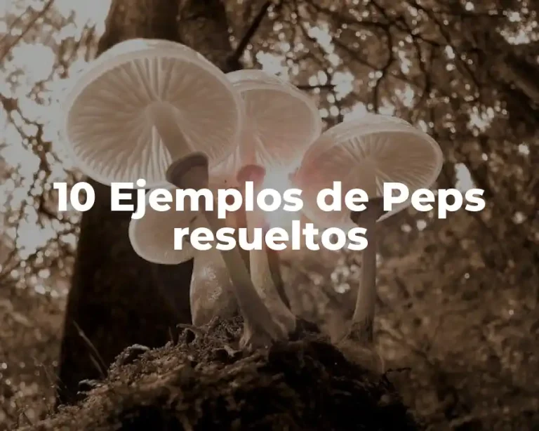 10 Ejemplos de Peps resueltos