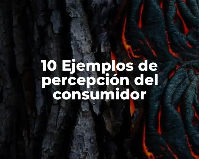 10 Ejemplos de percepción del consumidor