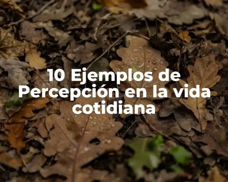 10 Ejemplos de Percepción en la vida cotidiana