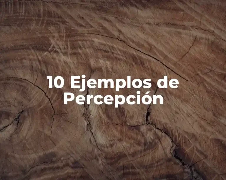 10 Ejemplos de Percepción