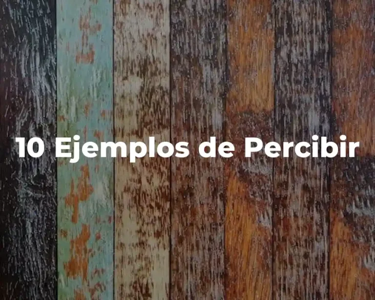 10 Ejemplos de Percibir