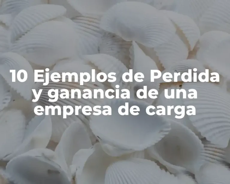 10 Ejemplos de Perdida y ganancia de una empresa de carga