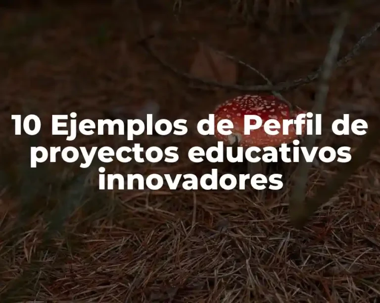 10 Ejemplos de Perfil de proyectos educativos innovadores