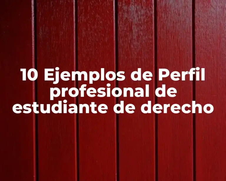 10 Ejemplos de Perfil profesional de estudiante de derecho