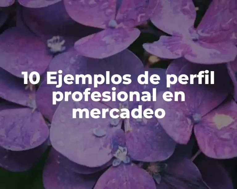 10 Ejemplos de perfil profesional en mercadeo