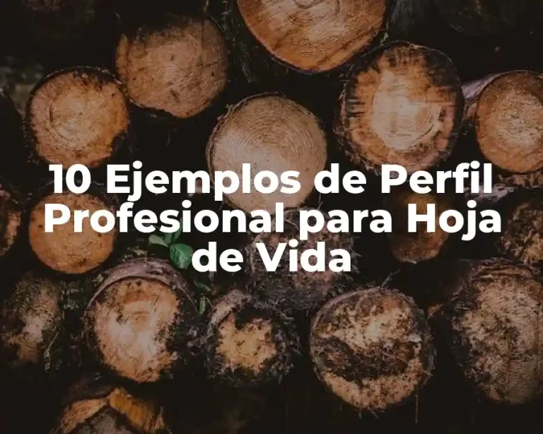 10 Ejemplos de Perfil Profesional para Hoja de Vida