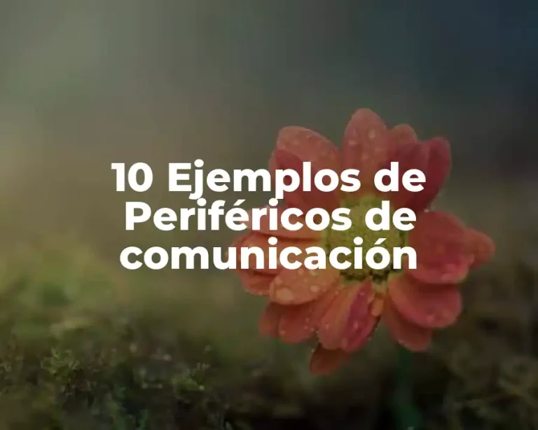 10 Ejemplos de Periféricos de comunicación