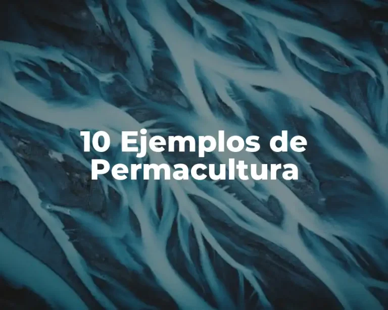 10 Ejemplos de Permacultura