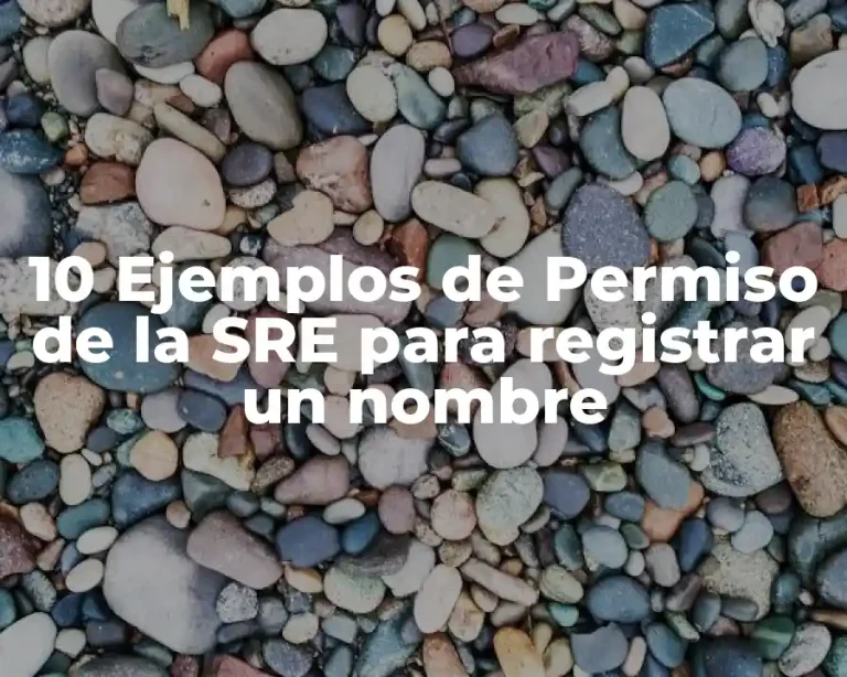 10 Ejemplos de Permiso de la SRE para registrar un nombre