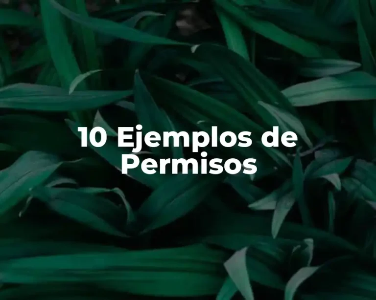 10 Ejemplos de Permisos