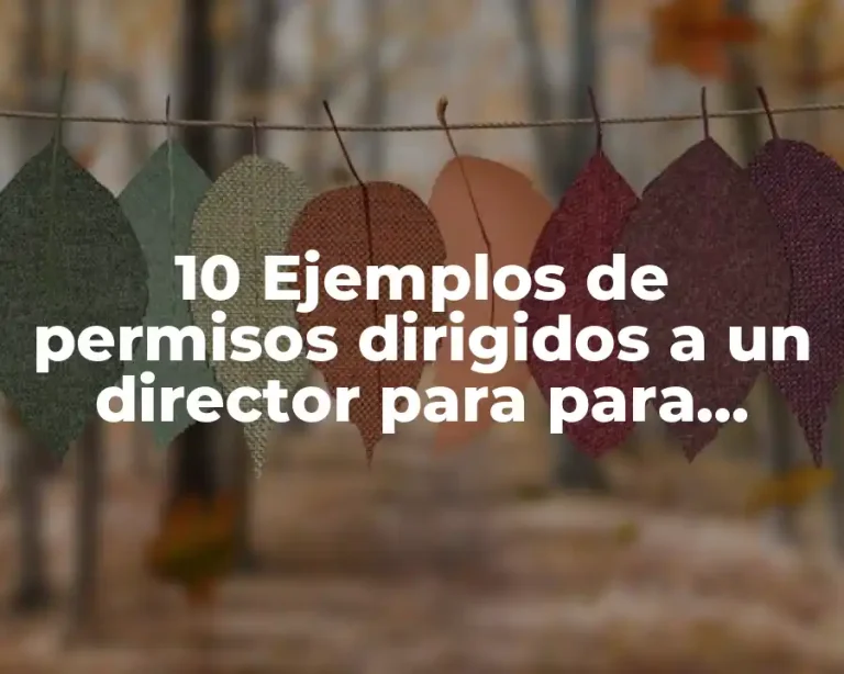 10 Ejemplos de permisos dirigidos a un director para para ausentarse
