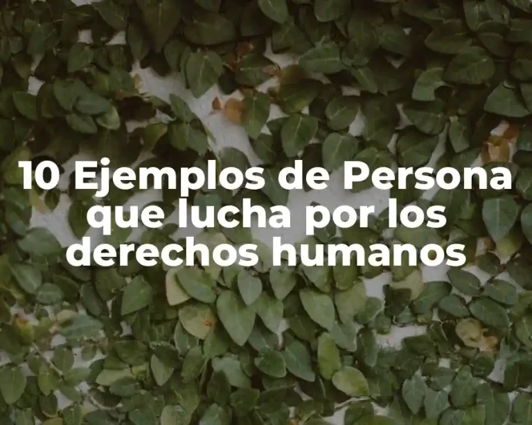 10 Ejemplos de Persona que lucha por los derechos humanos