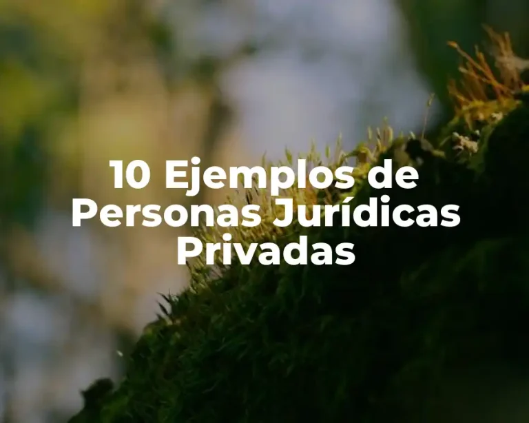 10 Ejemplos de Personas Jurídicas Privadas