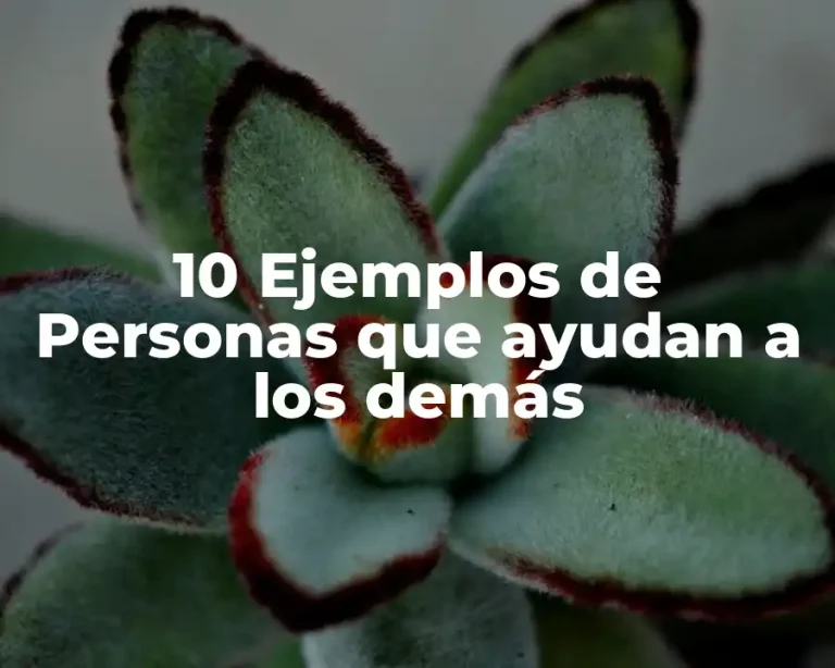 10 Ejemplos de Personas que ayudan a los demás