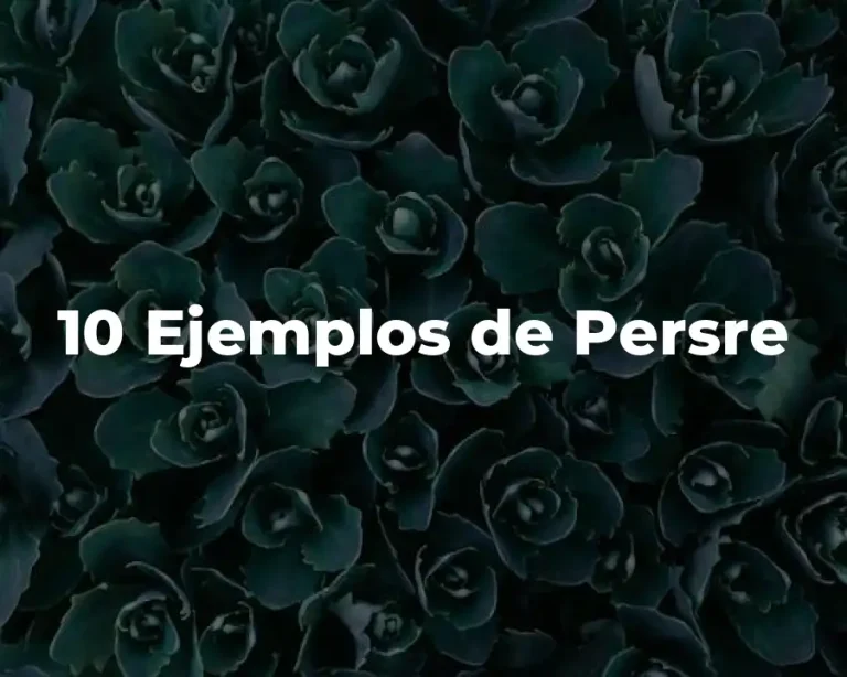 10 Ejemplos de Persre