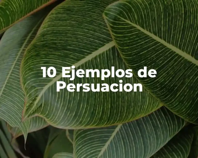 10 Ejemplos de Persuacion