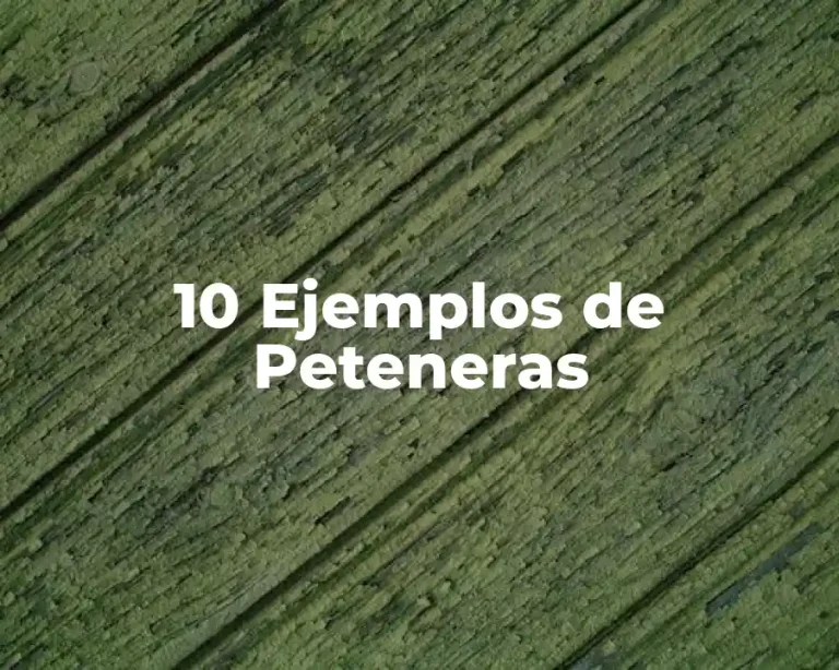 10 Ejemplos de Peteneras