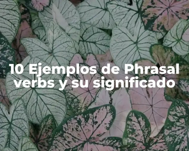10 Ejemplos de Phrasal verbs y su significado