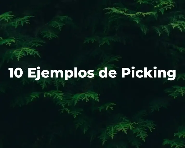 10 Ejemplos de Picking