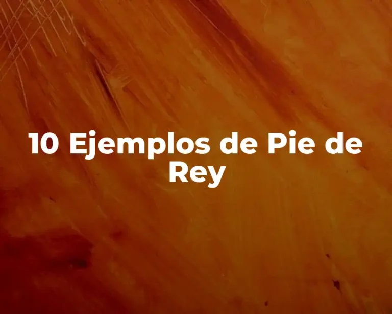 10 Ejemplos de Pie de Rey
