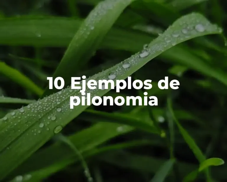10 Ejemplos de pilonomia