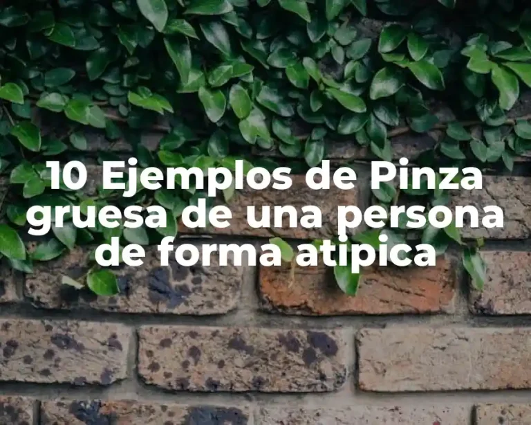 10 Ejemplos de Pinza gruesa de una persona de forma atipica