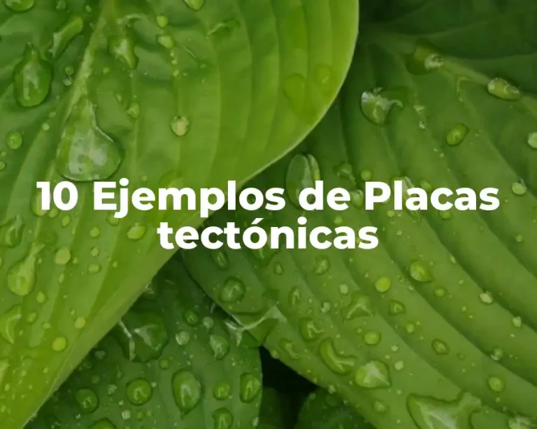 10 Ejemplos de Placas tectónicas