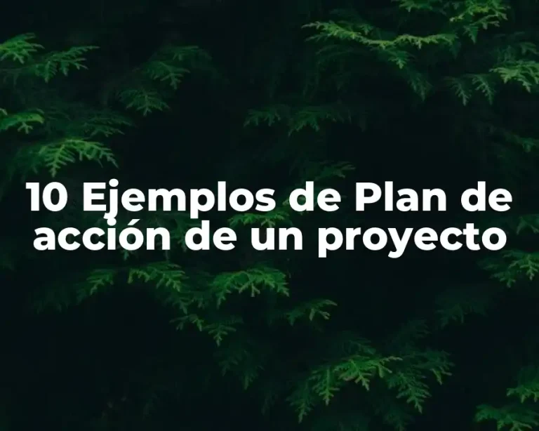 10 Ejemplos de Plan de acción de un proyecto