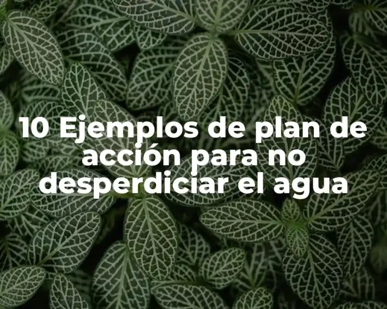 10 Ejemplos de plan de acción para no desperdiciar el agua