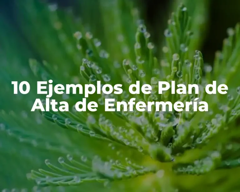10 Ejemplos de Plan de Alta de Enfermería