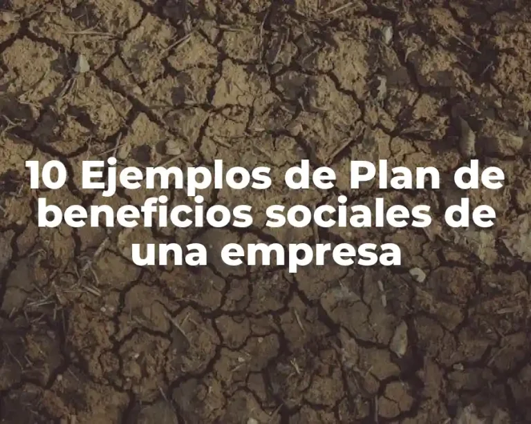 10 Ejemplos de Plan de beneficios sociales de una empresa