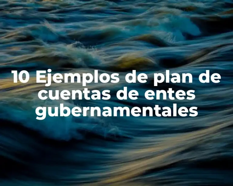 10 Ejemplos de plan de cuentas de entes gubernamentales