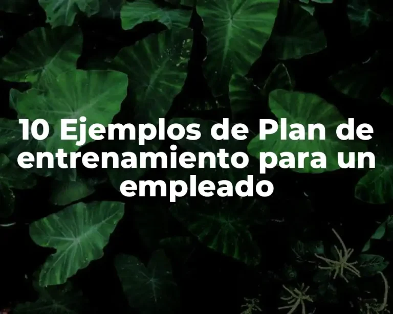 10 Ejemplos de Plan de entrenamiento para un empleado
