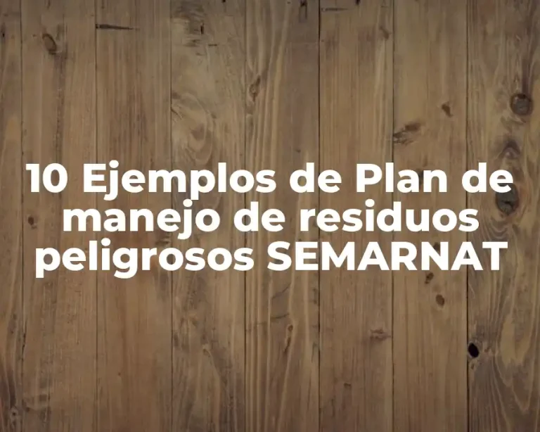 10 Ejemplos de Plan de manejo de residuos peligrosos SEMARNAT