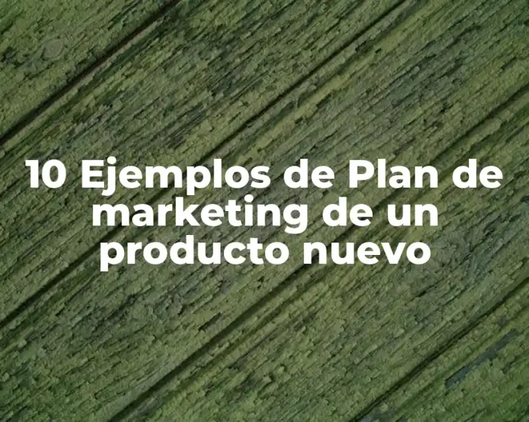 10 Ejemplos de Plan de marketing de un producto nuevo