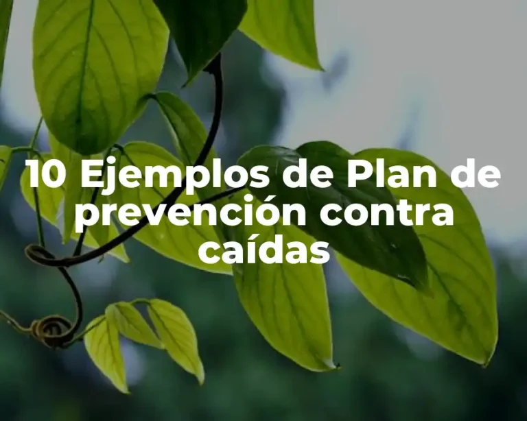 10 Ejemplos de Plan de prevención contra caídas