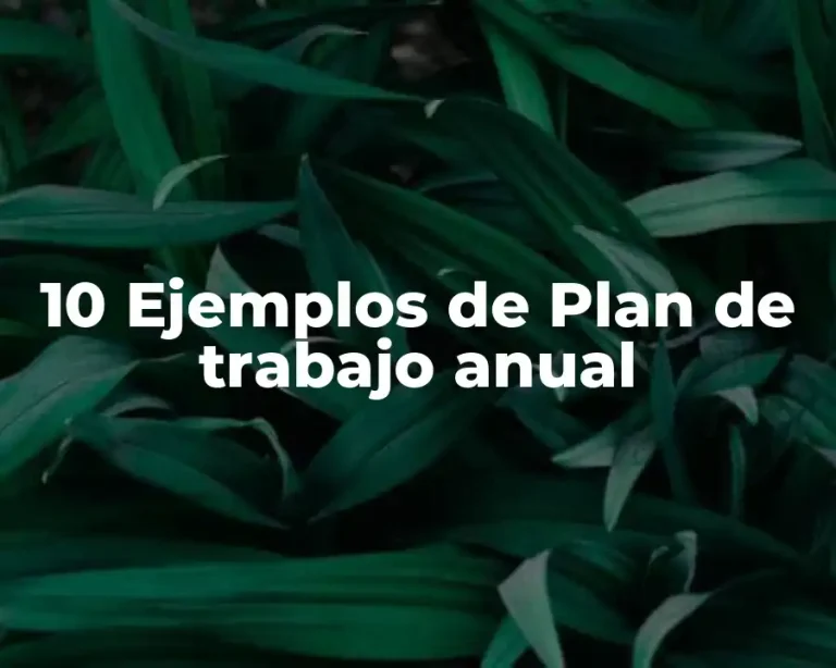 10 Ejemplos de Plan de trabajo anual