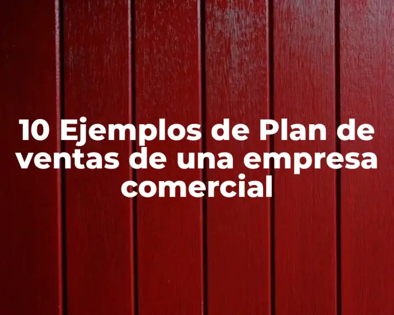 10 Ejemplos de Plan de ventas de una empresa comercial