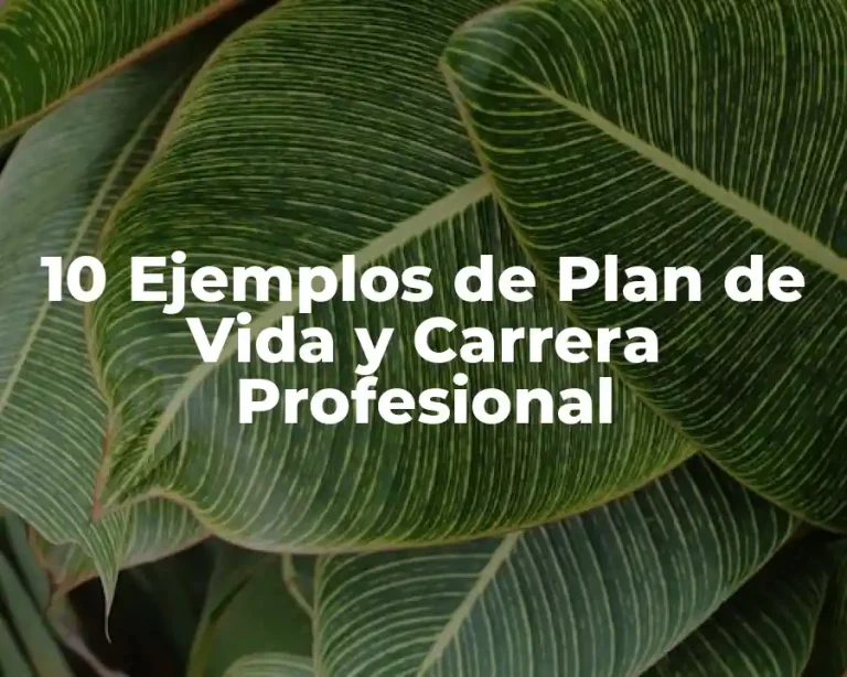10 Ejemplos de Plan de Vida y Carrera Profesional