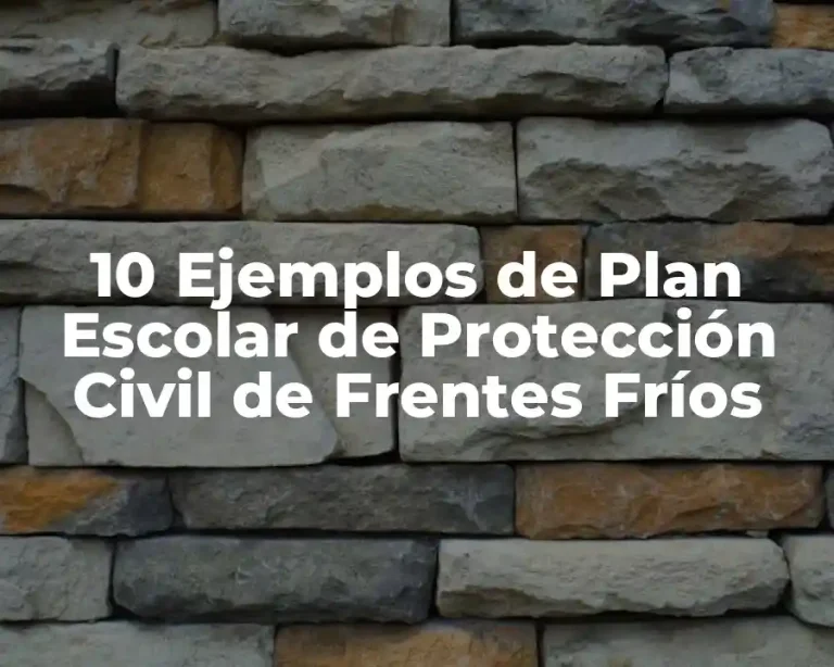 10 Ejemplos de Plan Escolar de Protección Civil de Frentes Fríos