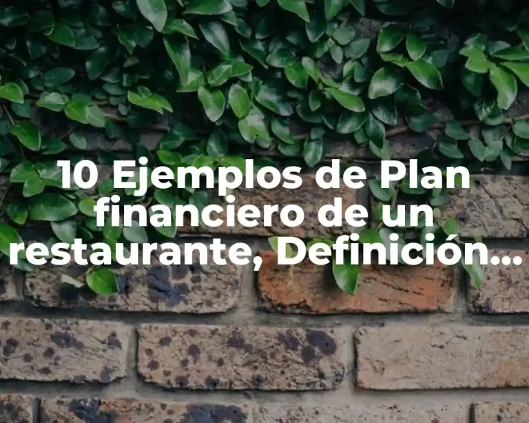 10 Ejemplos de Plan financiero de un restaurante, Definición, Diferencias y para que sirve