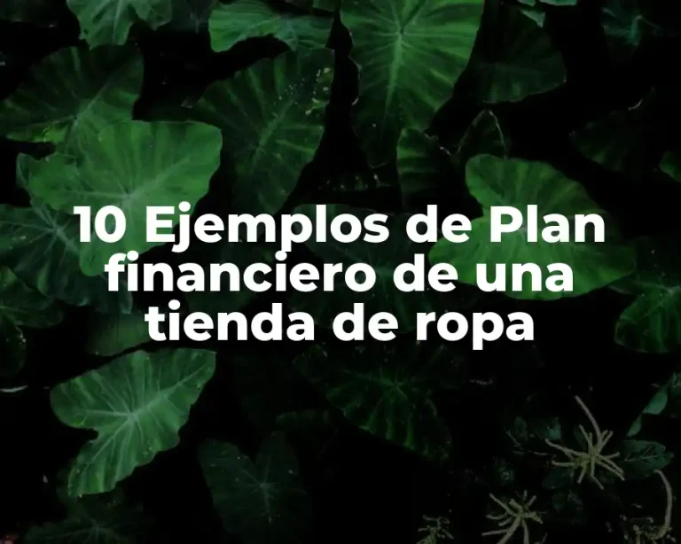 10 Ejemplos de Plan financiero de una tienda de ropa