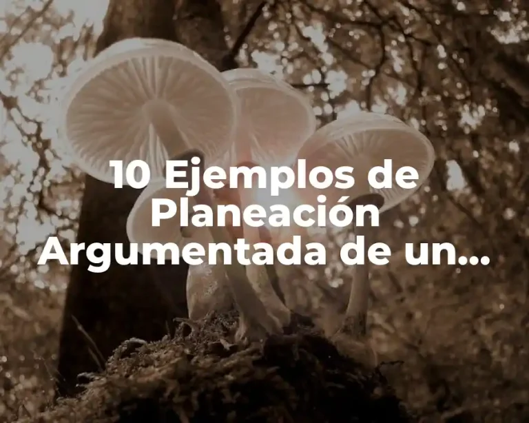 10 Ejemplos de Planeación Argumentada de un Panel de Discusión