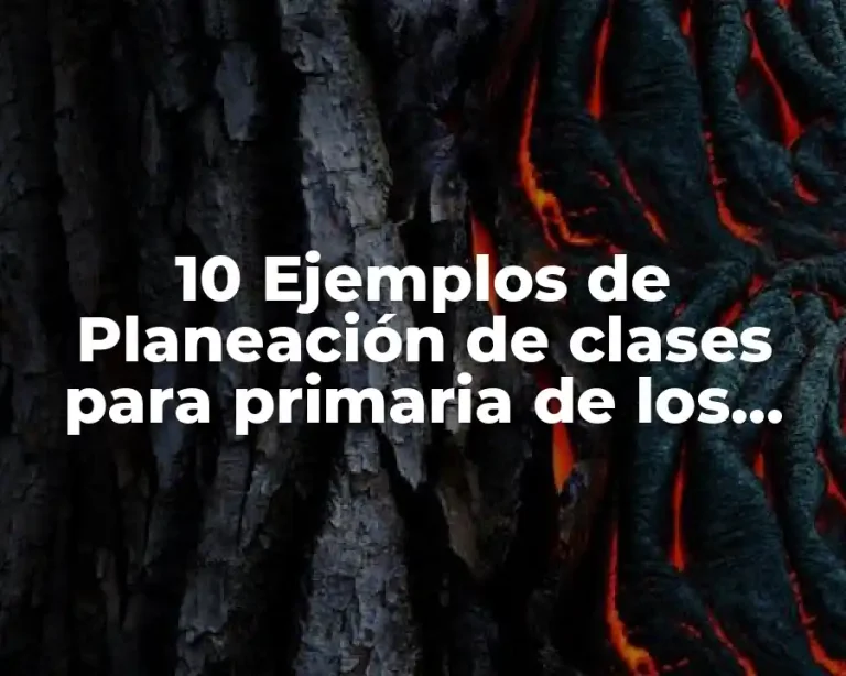 10 Ejemplos de Planeación de clases para primaria de los sentidos