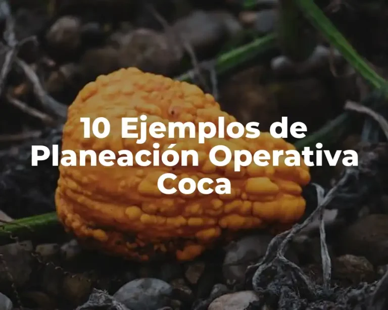 10 Ejemplos de Planeación Operativa Coca