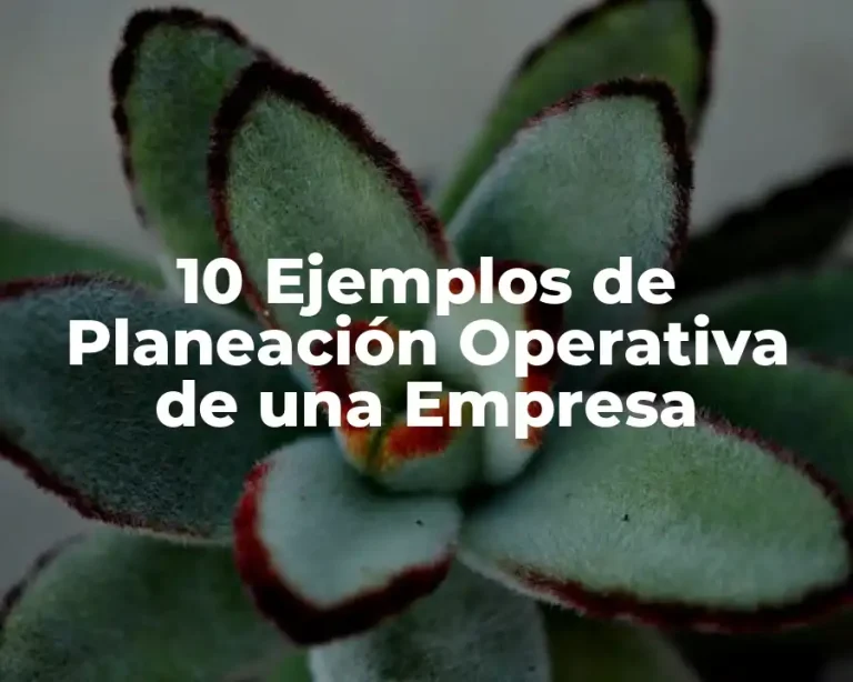 10 Ejemplos de Planeación Operativa de una Empresa
